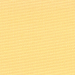 Exotic - Image 2